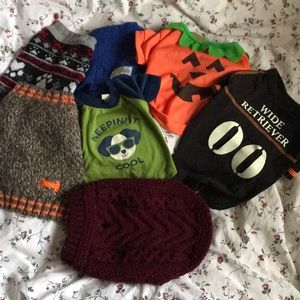 Dog shirt bundle